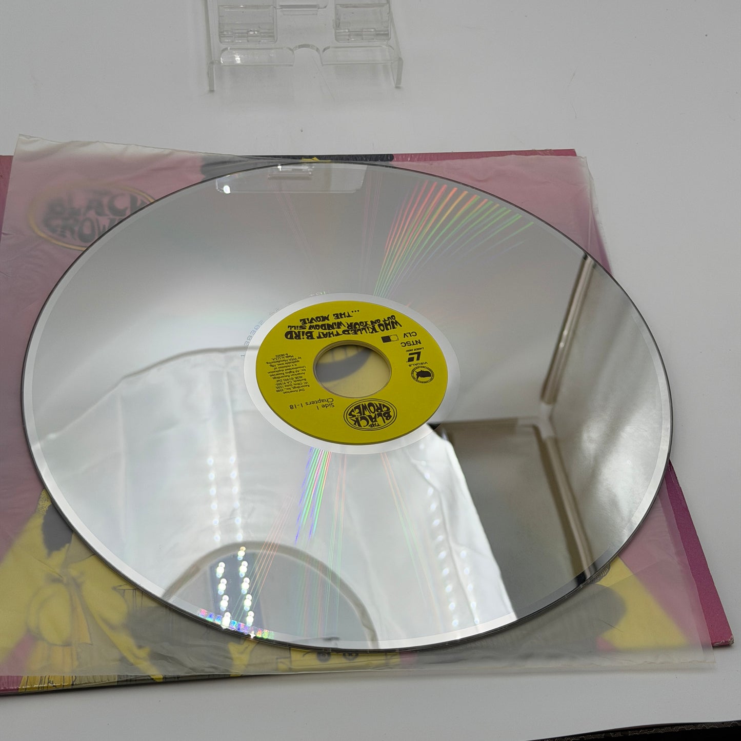 The Black Crowes: Who Killed That Bird.. Window Sill Laserdisc - Silver - Used