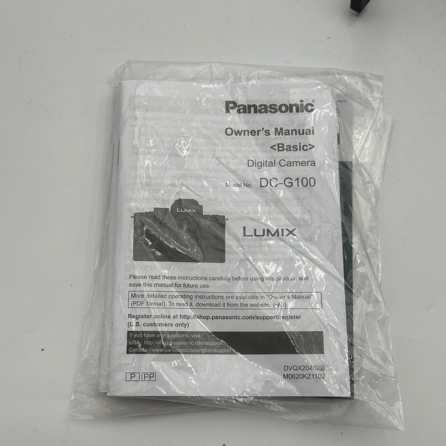 Panasonic Lumix DC-G100V Digital Camera