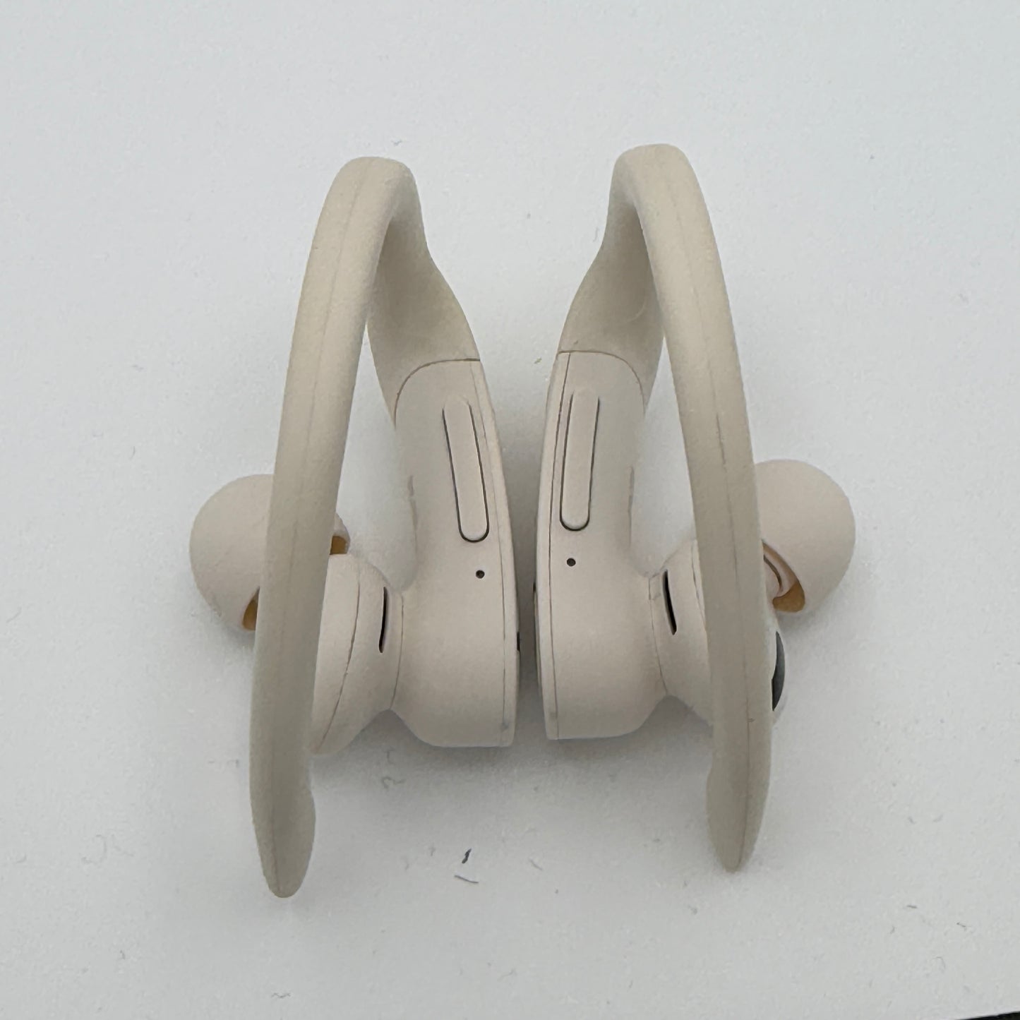 Beats Powerbeats Pro with Carrying Case