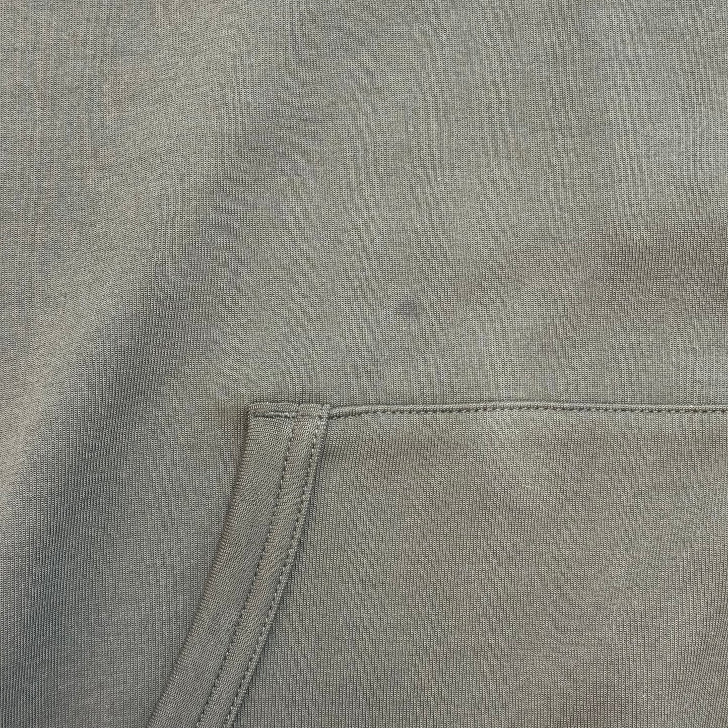 Polo Ralph Lauren Big Pony Hoodie Green Large New With Tags