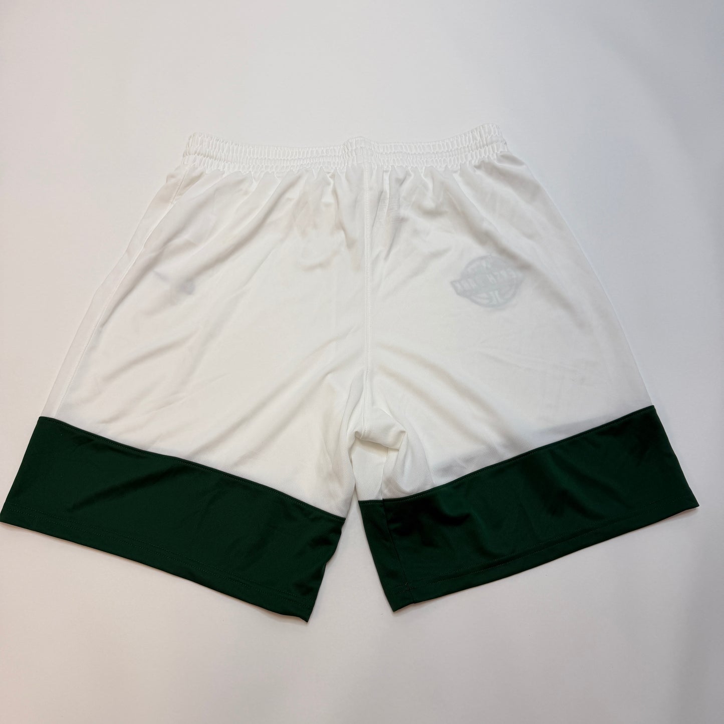Rare Nike Team Dr-Fit Gersh Park Basketball Shorts XL Green White