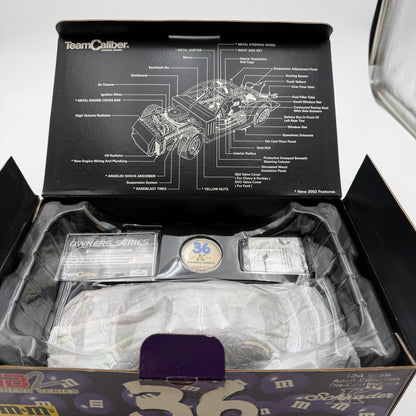 Action Racing #36 M&Ms Brand Purple Color Vote Winner 2002 1:24 Team Caliber Collectible