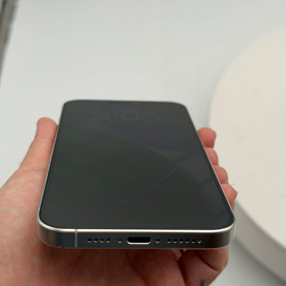 Apple iPhone 15 Pro Max 256GB Silver 77% BH