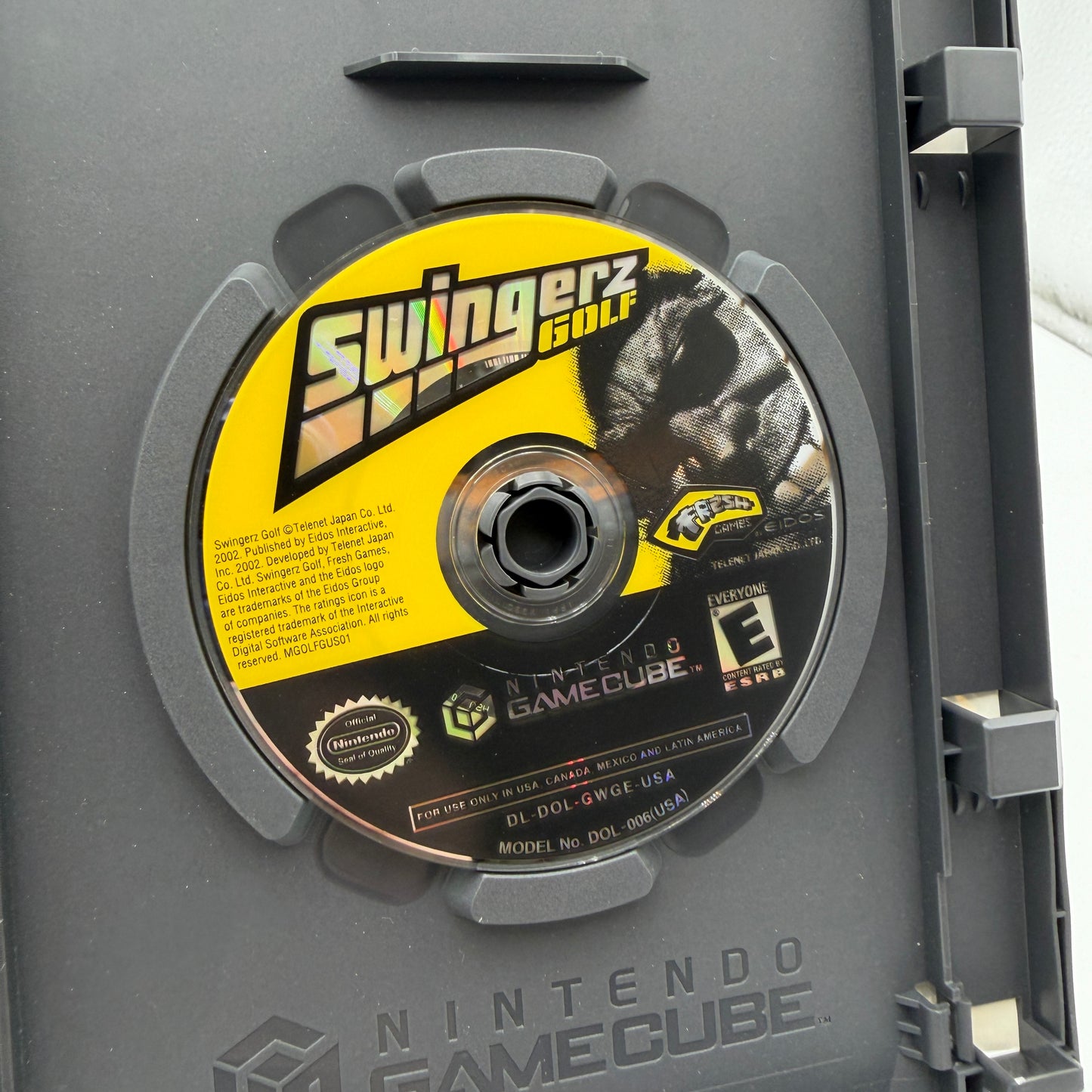 Gamecube Swingerz Golf Game with Box