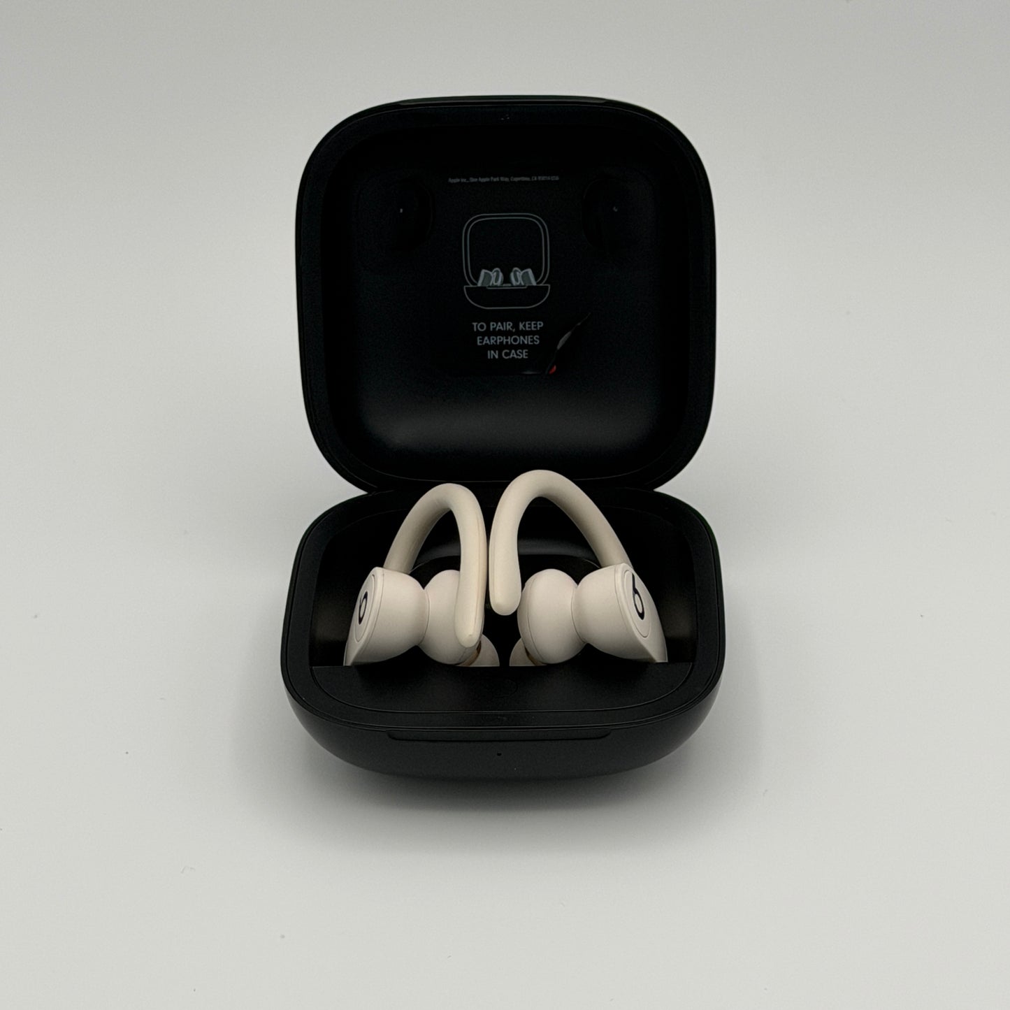 Beats Powerbeats Pro with Carrying Case