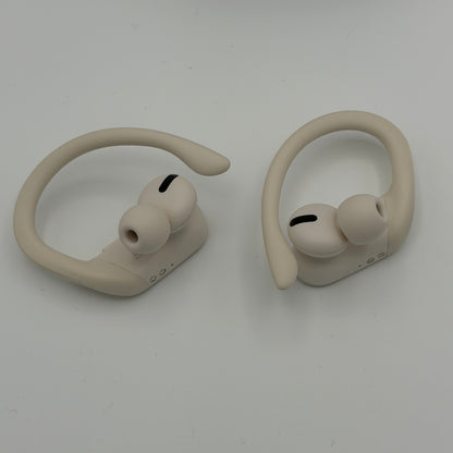 Beats Powerbeats Pro with Carrying Case