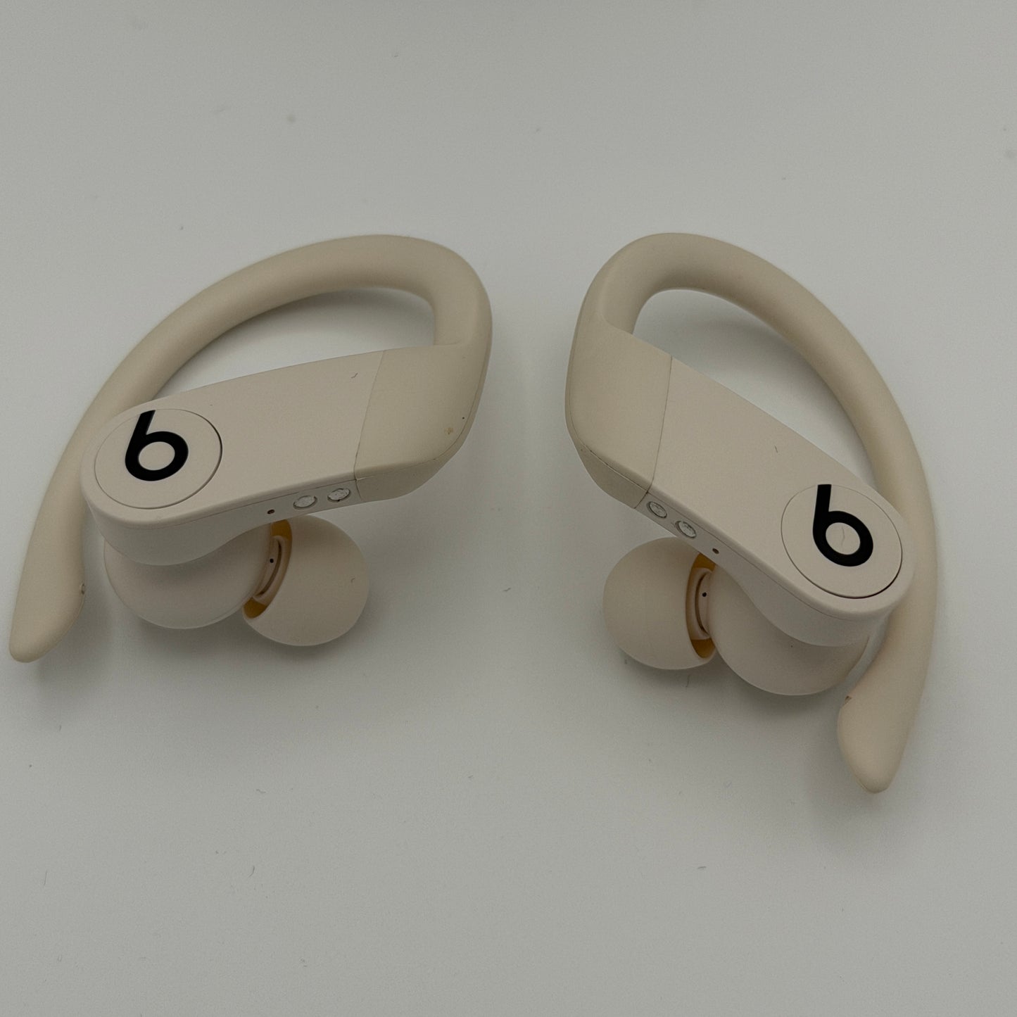 Beats Powerbeats Pro with Carrying Case