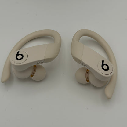 Beats Powerbeats Pro with Carrying Case