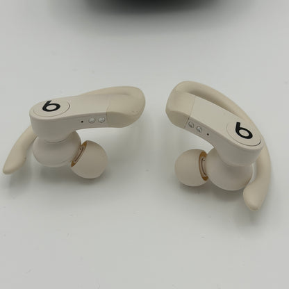 Beats Powerbeats Pro with Carrying Case