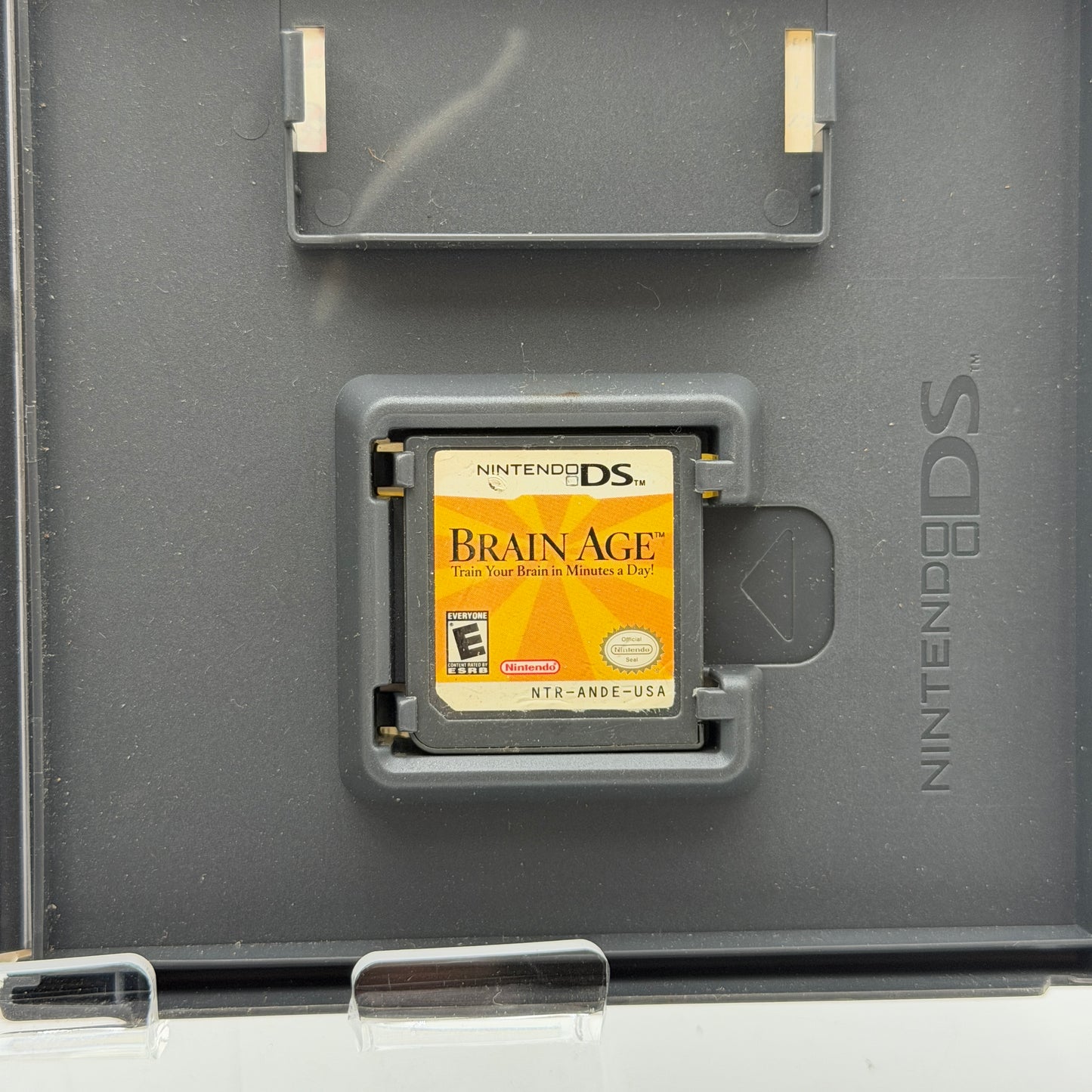 Nintendo DS Brain Age Video Game - Used - Light Scratches