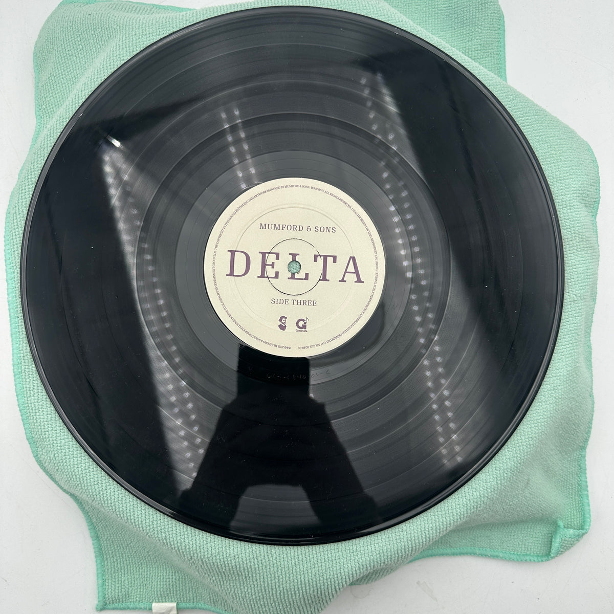 Mumford & Sons Delta Vinyl