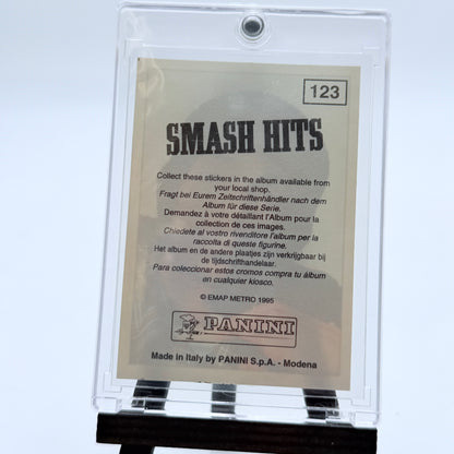 1995 Panini Smash Hits Stickers Lot