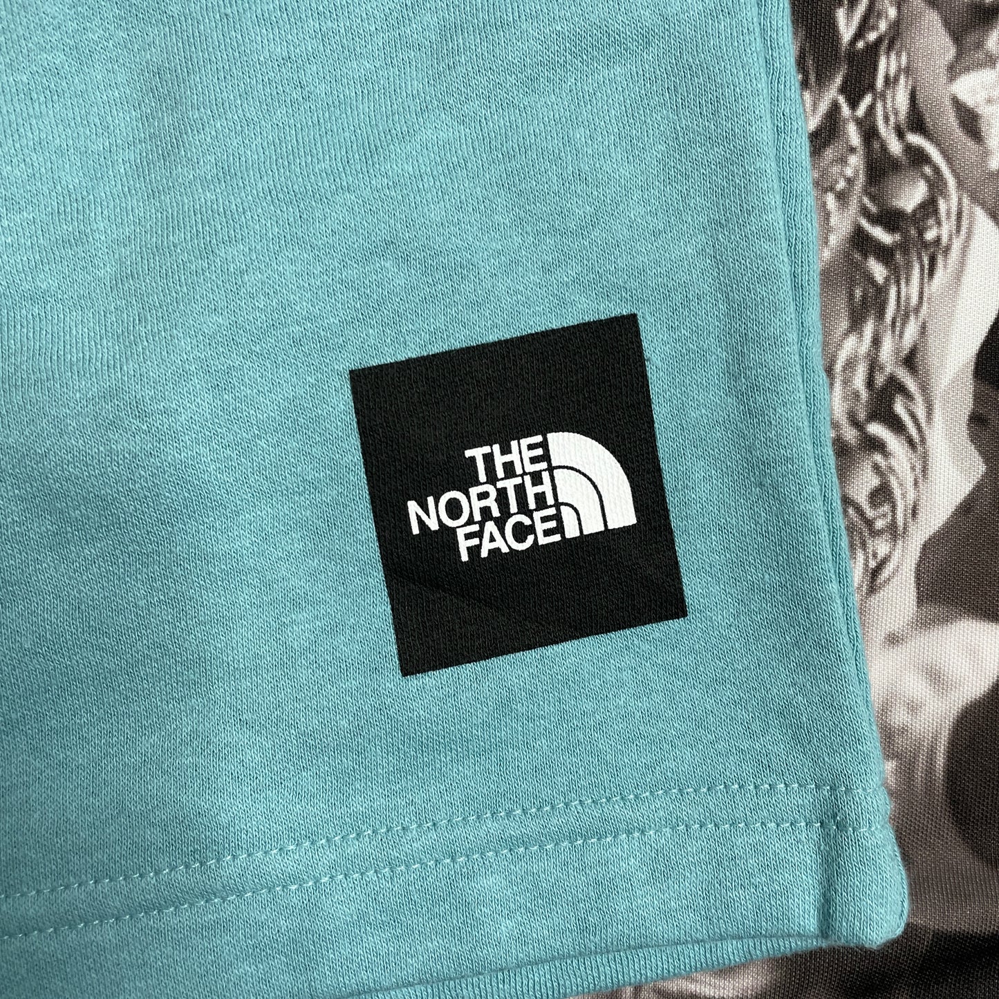 The North Face M Box NSE Short Reef Waters NF0A811YHYI