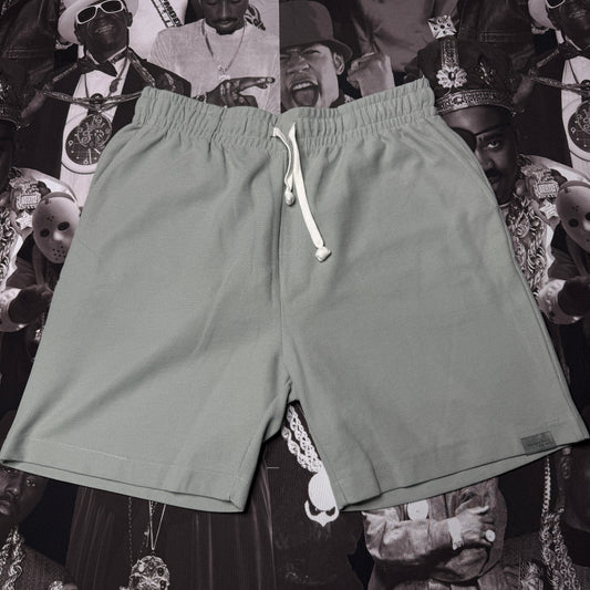Zara Ribbed Standard Print Shorts Sage/Mint Green SZ XL